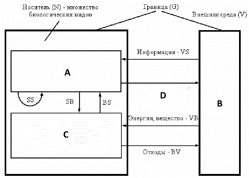 Схема внешних отношений биогеоценоза