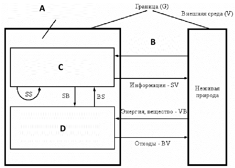 Схема внешних отношений биогеоценоза