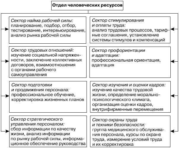 Структура отдела человеческих ресурсов