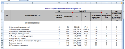 Форма представления инвестиционных затрат