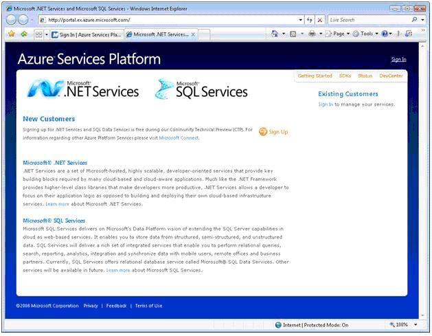 Страница входа .NET Services