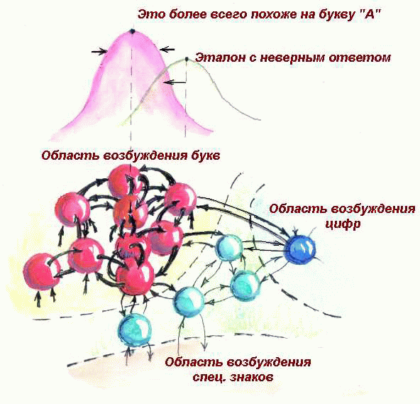 Области возбуждения