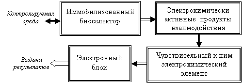 Функциональная схема электрохимического биосенсора