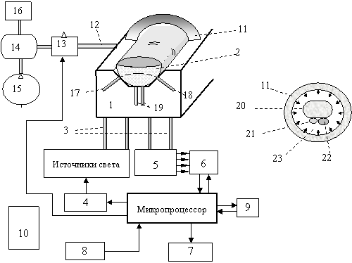 Функциональная схема окклюзионного спектрофотометрического неинвазивного глюкометра: 1 – измерительное ложе для пальца; 2 – передняя фаланга пальца; 3 – оптические связи; 4 – модулятор источников света; 5 – фотоприемники и усилители сигналов; 6 – демодулятор и АЦП; 7 – дисплей; 8 – клавиатура управления; 9 – интерфейс с внешним компьютером; 10 – блок питания; 11 – надувное кольцо-манжета; 12 – соединитель; 13 – управляемый 2-ходовой вентиль; 14 – ресивер; 15 – нагнетатель воздуха; 16 – манометр; 17-19 – волоконно-оптические световоды. Справа – кольцо-манжета 11 и сжимаемый палец в условном сечении: 20 – костная ткань; 21 и 22 – артериальные и венозные сосуды; 23 – мягкие ткани