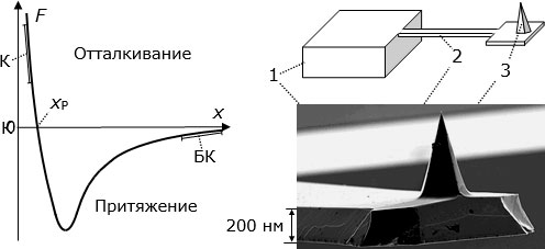Слева – типичная зависимость силы взаимодействия между атомами F от расстояния х между ними; справа вверху – конструкция кантилевера (2) с зондом (3); справа внизу – микрофотография зонда на конце кантилевера; 1 – кристалл кремния