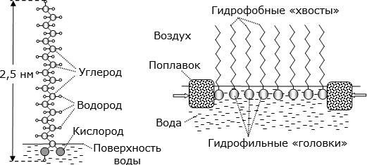 Слева – структурная химическая формула стеариновой кислоты; справа – архитектура мономолекулярного слоя таких молекул на поверхности воды