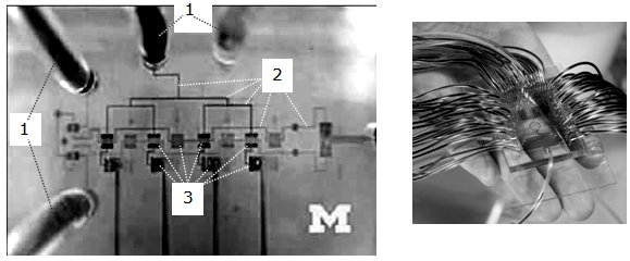 Слева – микрофотография участка микропроточного картриджа, прикрепленного к поверхности кристалла кремния с массивом химически чувствительных элементов: 1 – трубки для подвода и отвода жидкостей (газов); 2 – микропроточные канавки; 3 – химически чувствительные сенсоры на кристалле кремния; М – область кристалла, на которой сформированы микроузлы обработки сигналов и хранения результатов измерений. Справа – картридж для биохимического анализа на кристалле одновременно многих проб жидкостей (газов)