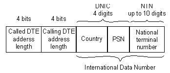 X.121 Address Format