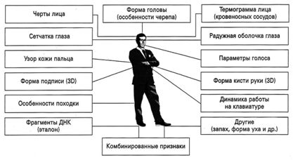 Система биометрических параметров для идентификации личности