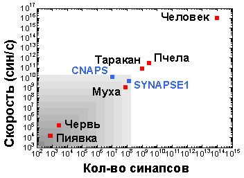 Сравнение современных нейрокомпьютеров с естественными нейросистемами