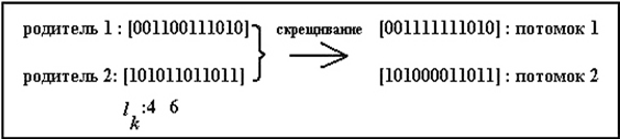 Пример двухточечного кроссинговера