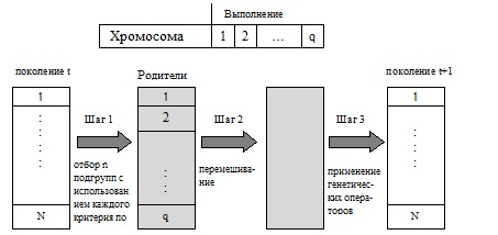 Векторный выбор особей