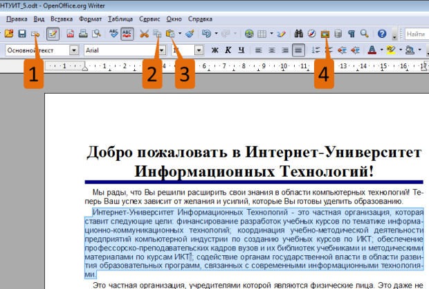 Копирование выделенного. Для каких целей можно использовать указанный элемент?. Кнопка копирования выделенного фрагмента в буфер. Кнопка удаления выделенного фрагмента в буфер. Кнопка для копирование фрагментов в буфер.