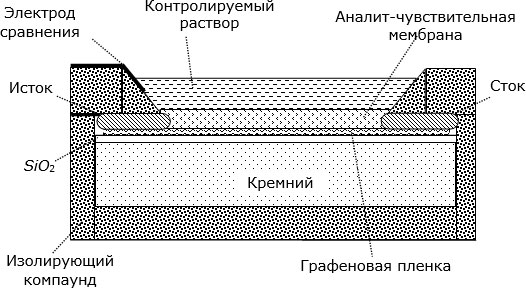 Структура химически-чувствительного полевого транзистора на графене