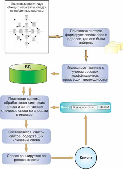 Роботы-пауки просматривают информационное наполнение Web-страниц и создают базу, на основе которой производится поиск