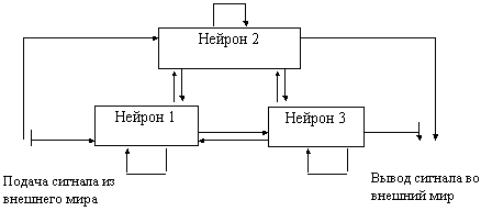 Схема простейшей нейронной сети из 3 нейронов. Сеть имеет 13 синапсов, 4 из которых служат для связи с внешним миром, а остальные соединяют нейроны между собой 