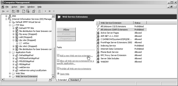 Включение программной функциональности серверной части в окне Web Service Extensions (Расширения веб-служб)