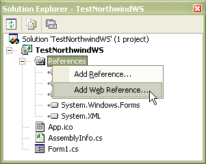  Окно Solution Explorer