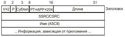 Формат пакета, задаваемого приложением