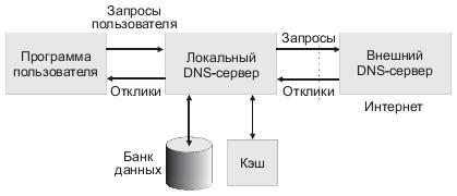 Протокол относится к группе. Обработка запросов пользователя. DNS протокол картинка структура. Схема порядка обработки запроса ДНС сервером. Ad динамических протоколов.