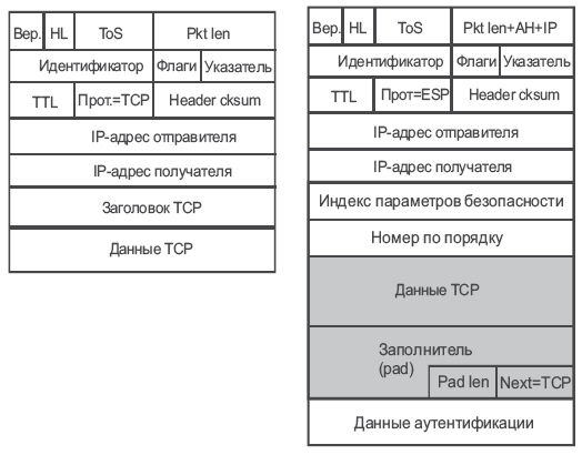 Структура данных в пакете для протокола ESP в туннельном режиме
