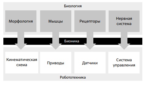 Основные компоненты искусственных машин имеют аналоги в живой природе 