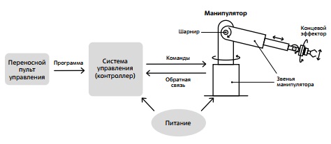 Основные компоненты роботов на примере робота- манипулятора 