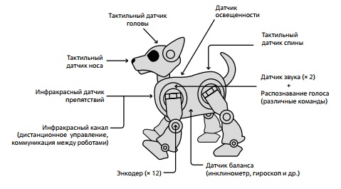 Пример расположения датчиков в роботе-собаке 