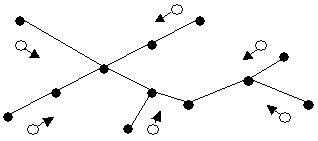 Шаг 1. Маркеры, инициированные висячими вершинами дерева
