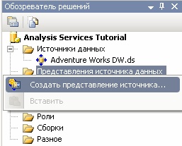  Контекстное меню папки  "Представление источника данных" 