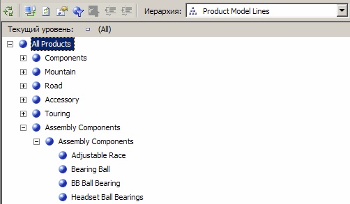  Содержимое иерархии "Product Model Lines"