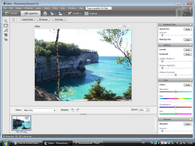 Рабочее окно Adobe Photoshop Elements в сокращенном режиме