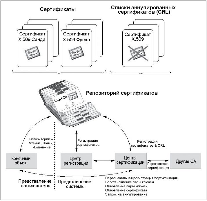 Сертификат конечного пользователя образец