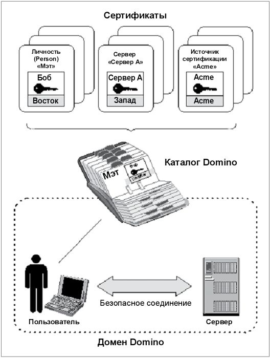 Каталог Domino