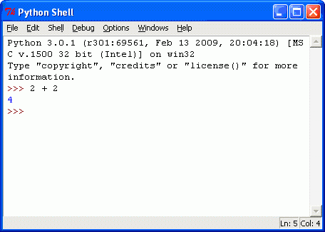 Type 2+2 into the shell.