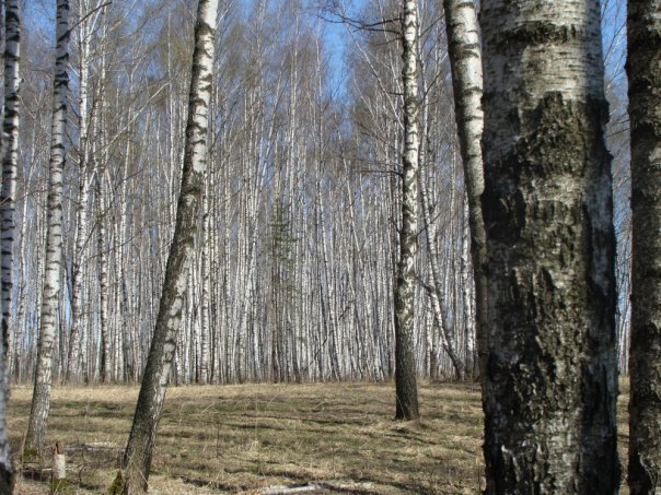 Двухплановая съемка пейзажа