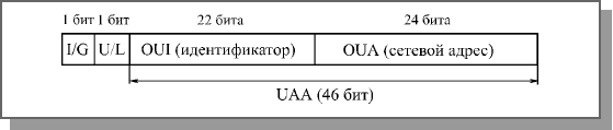 Структура 48-битного стандартного MAC-адреса