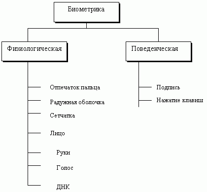 Биометрика 