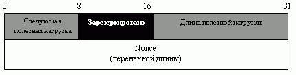 Полезная нагрузка Nonce