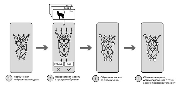  Стадии обучения искусственной нейронной сети. Источник: адаптировано по материалам [43]
