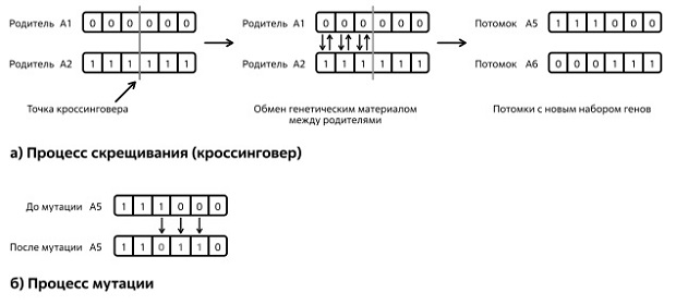  Упрощенная схема, поясняющая работу процессов скрещивания и мутации. Источник: по материалам [49]