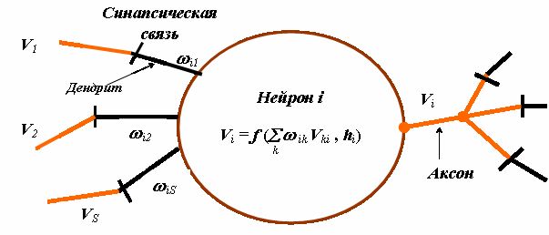 Модель нейрона