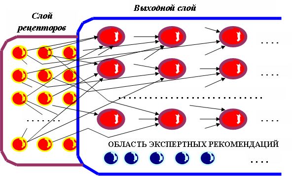 Структура нейросети