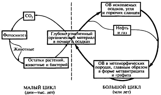 Малый и большой глобальные циклы органического углерода на Земле