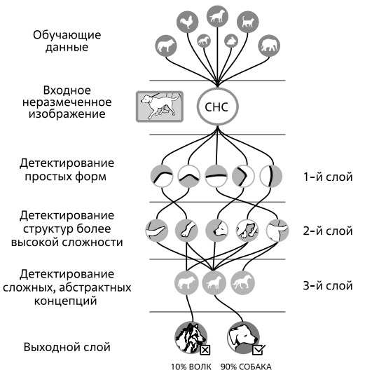  Упрощенная схема работы сверточной нейронной сети. Источник: [67]