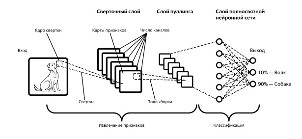  Схема работы сверточной нейронной сети 