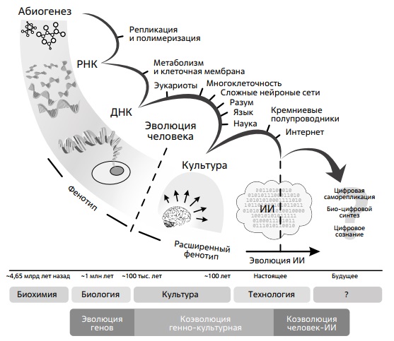 Биологическая эволюция человека прекратилась. Биологическая Эволюция схема. Процесс воздействия ИИ на биологические объекты схема. Гипотеза коэволюции вирусов. Влияние искусственных интеллектов на прогнозирование.