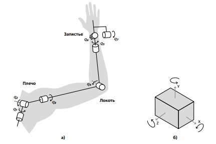 Степени свободы руки человека (а) и максимальное число степеней свободы твердого тела, движущегося в 3D пространстве (б)