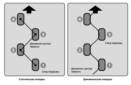 Статический (а) и динамический (б) варианты походки 