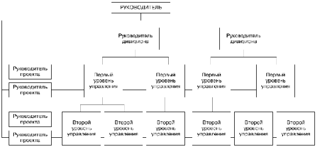 Программно-целевая организационная структура управления компанией